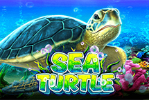 SEA TURTLE