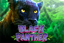 BLACK PANTHER